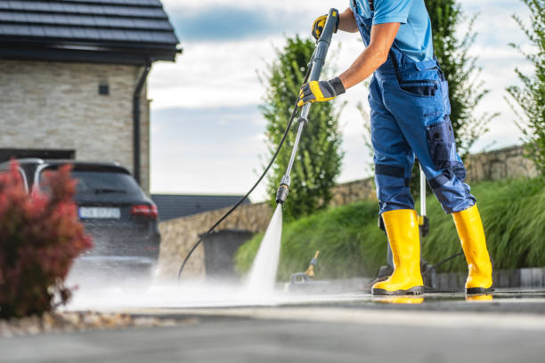 Best Gutter Cleaning and Brightening in Dodge Center, MN